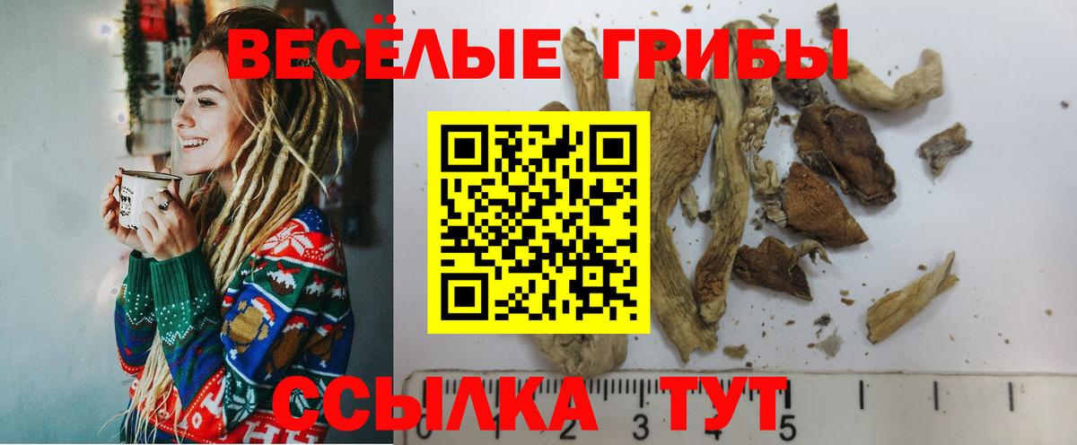 Галлюциногенные грибы Magic Shrooms  Псилоцибиновые грибы MAGIC MUSHROOMS  Димитровград  купить наркотик  Вход с VPN 