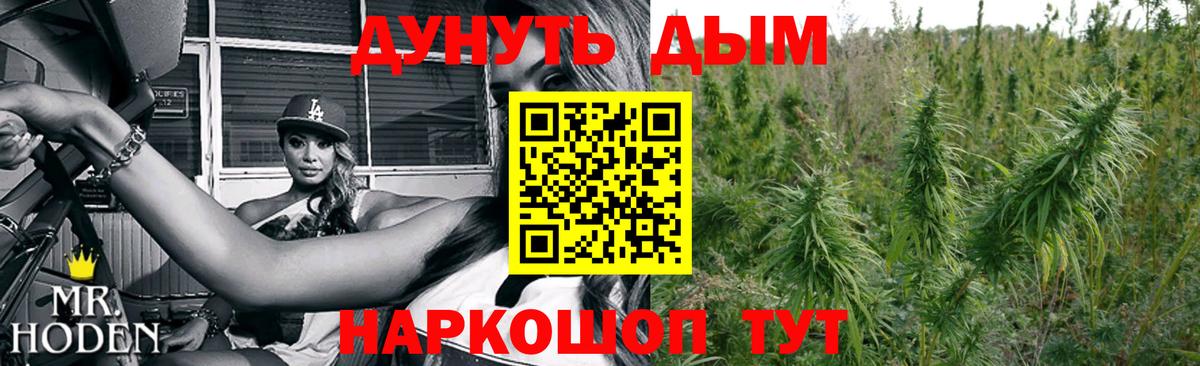 Конопля Ganja Димитровград